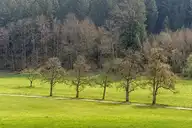 243469