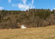 243686
