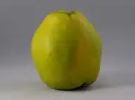 244492