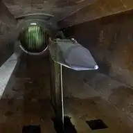244631