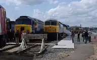 245068