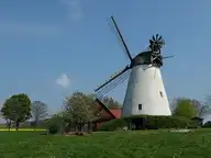 24519