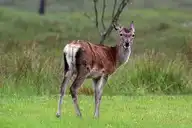 246468