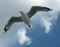 246630