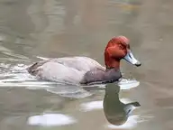 246797