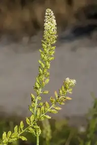 248051