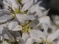 24820