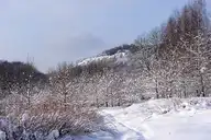 248518