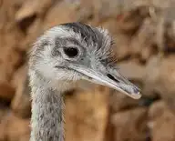 248546