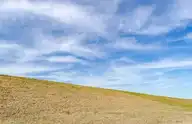 248656