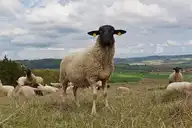 249070