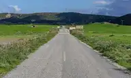 250321