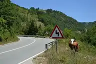 250327