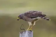 250376
