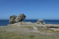 250603