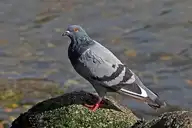 250640