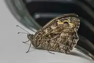 250670