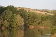 250832