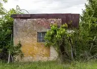 25160