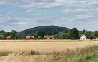 25221