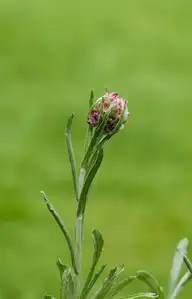 252802