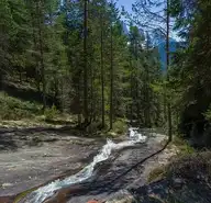 253561