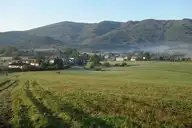 253954