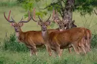 254094