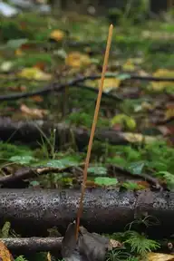 254903
