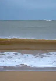 255325