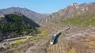 255329