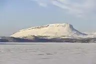 255390