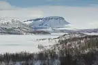 255391