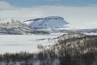 255391