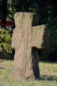 255557