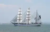 255814