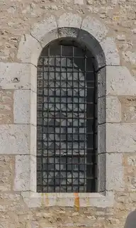 256029