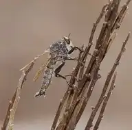 2580