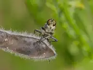 2581