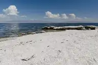 258546