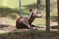 258796