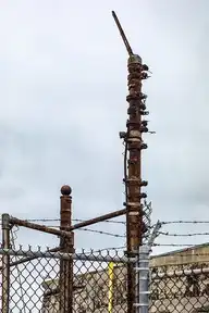 259084
