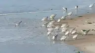 259922
