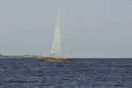 259925