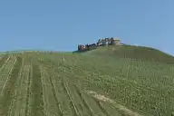 260481