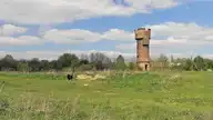 26180