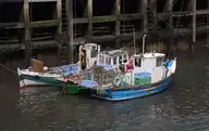 263436