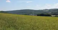 263520