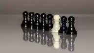 263551