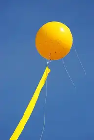 263561